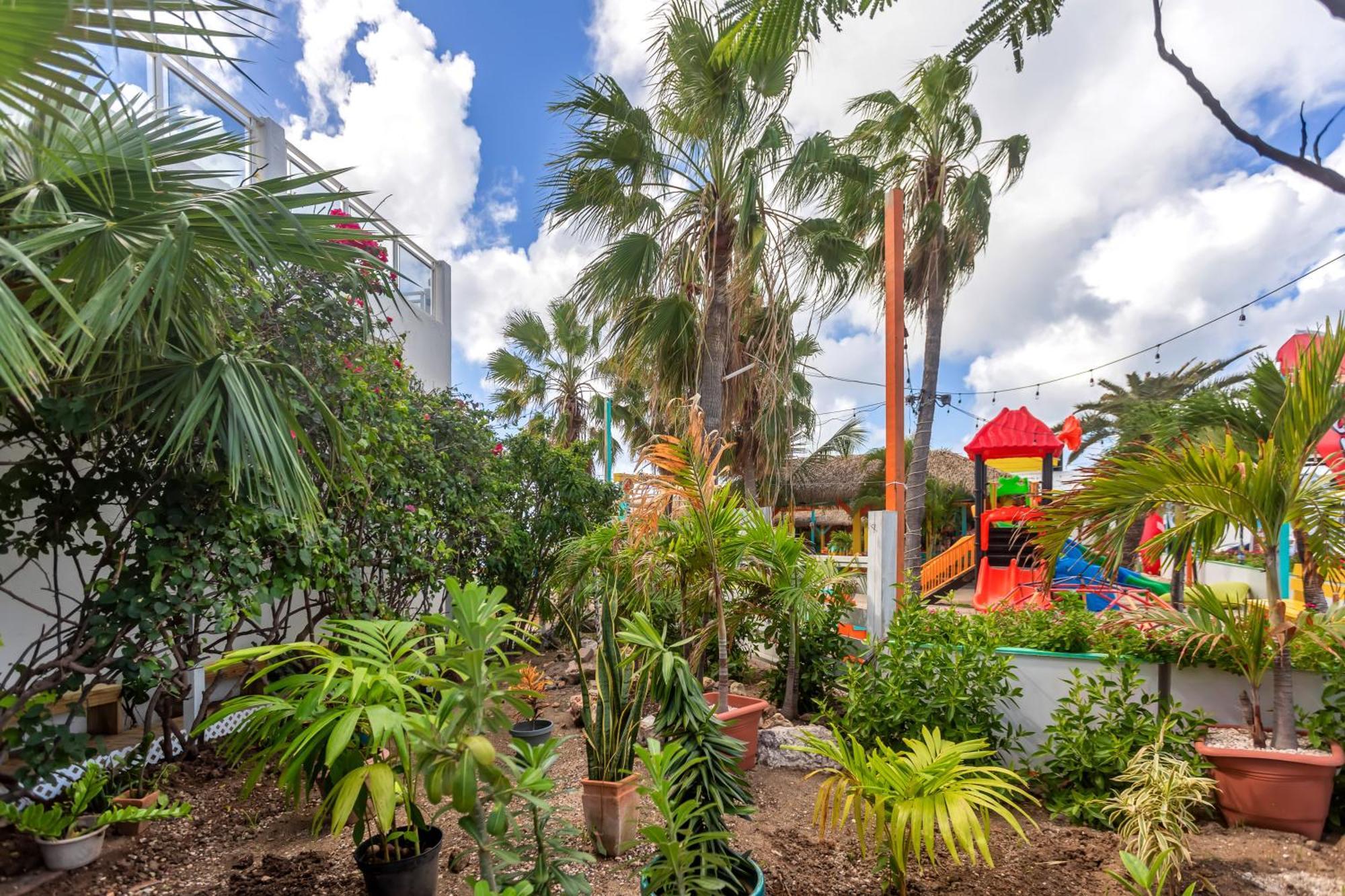 Maho Beach House - Studio - Beach Access Kültér fotó